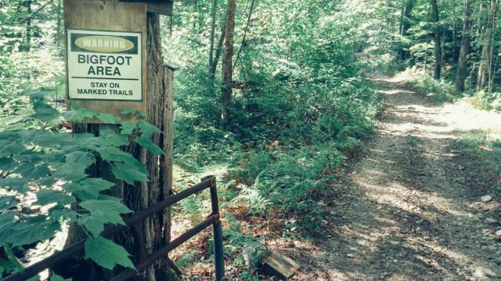 Did Campers Really Catch Bigfoot on Camera in Oklahoma?