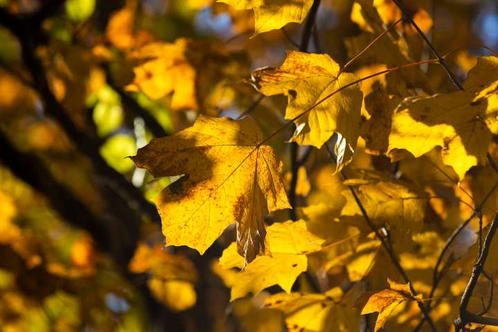 Weekend forecast: Nothing but sunshine in central Pa.