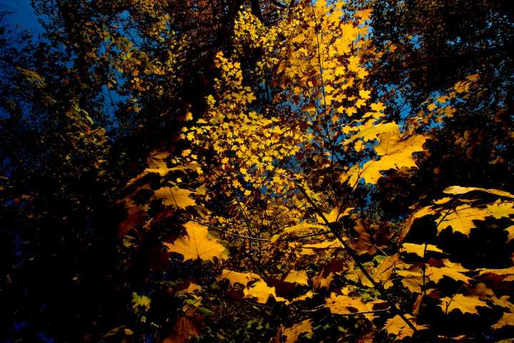 5 fall destinations to check out across mid
