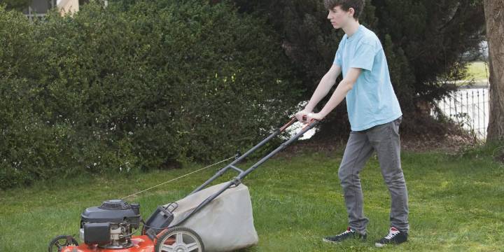 AI told me hilariously wrong things about Elon Musk's childhood job at a landscaping company