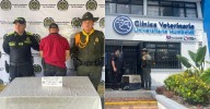 Indignación en Buenavista: detenido sujeto que habría disparado contra un cachorro de 3 meses