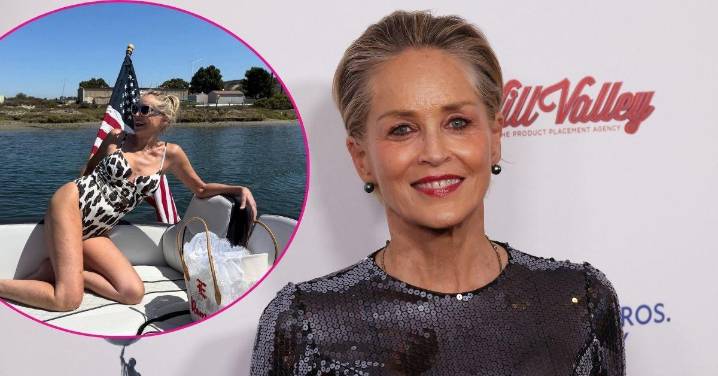 Sharon Stone, 67, Shows Off Her Bikini Body and Long Legs in Animal Print Swimsuit: Photos