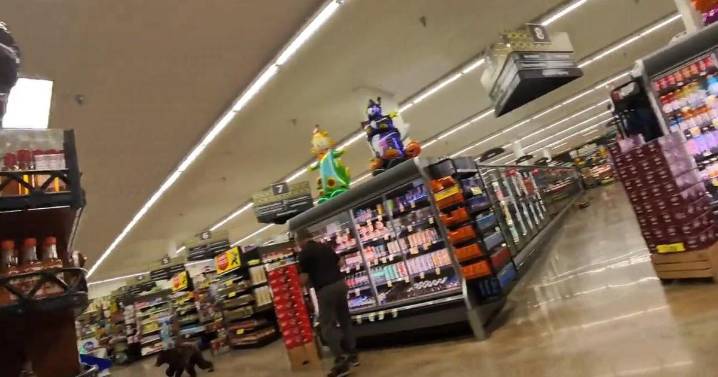Oro Valley grocery store gets a surprise visit by a bear