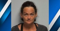 Grand Rivers woman arrested for animal cruelty after 9 dogs found dead, police say