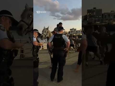Horse Guy Rides Down Bondi Beach With Palestinian Flag