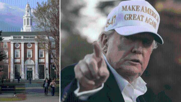 Defeats are stacking up for Trump as Maga loses faith