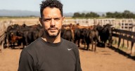 «Redujimos el ciclo en un 40%»: apuestan a la recría a corral para adaptarse al nuevo mercado