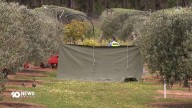 WorkSafe investigating death of farmer in Jarrahdale tractor rollover