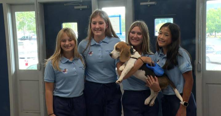Loyola College Prep introduces new mascot