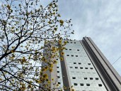 Con ‘Viernes de Conocimiento’, el Quindío fortalece su planificación hacia el desarrollo sostenible