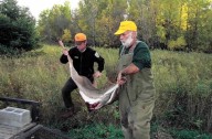 Accessible deer hunt at Rydell National Wildlife Refuge marks 30