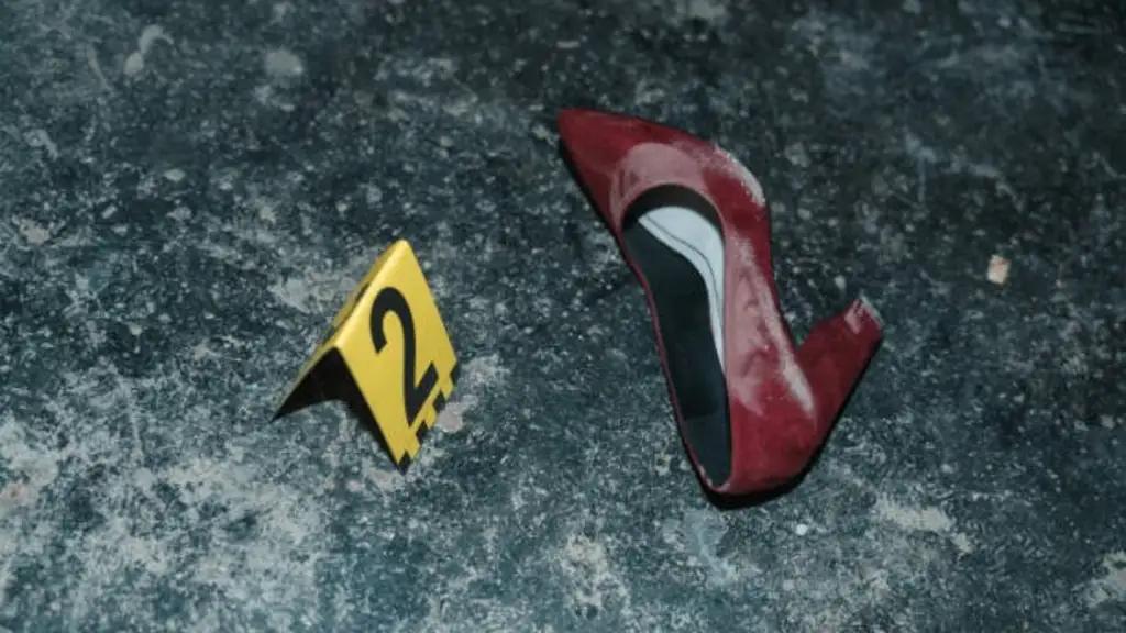 ¡Terror en Argentina! Encuentran el oscuro secreto tras la desaparición de una joven: atrapado un cómplice del asesino.