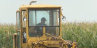 Nebraska farmers brace for harvest as tariffs and low prices hit hard