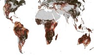 Estudio revela desfase de las estaciones: ¿cómo impacta en la biodiversidad?