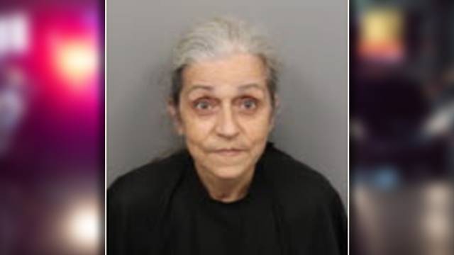 SC: Animal cruelty investigation uncovers dead dogs at Upstate pet business