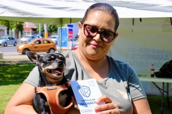 Destacan caso de “Micro”, perrito protegido por servicios para mascotas