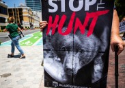 Florida got 160,000 bids to kill bears, but some won't hunt
