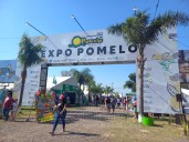 Fiesta Nacional del Pomelo: “Estamos muy expectantes esperando una edición más” destacan