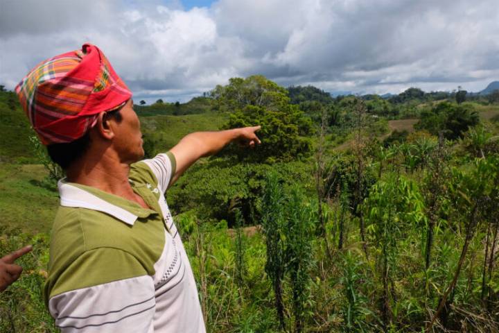 Philippine tribes revive reforestation to defy coal mining expansion
