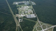 Descubren un sorprendente nido de avispas radioactivas en una exinstalación nuclear en Estados Unidos