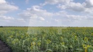 Registran Primer Sismo de Septiembre 2025 en Tamaulipas: ¿Dónde Fue?