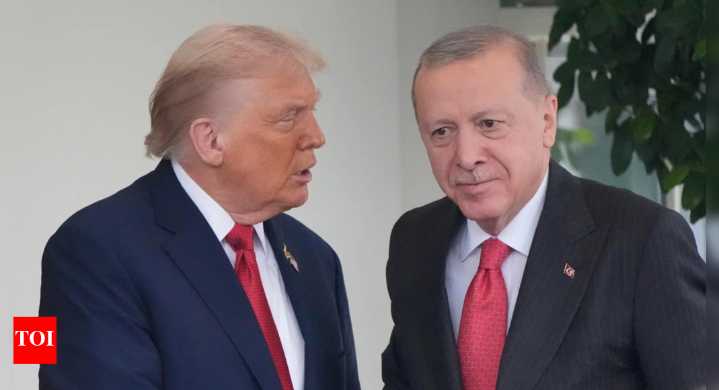‘Knows better than anybody’: Trump’s veiled jibe at Erdogan over ‘rigged elections’ in his presence