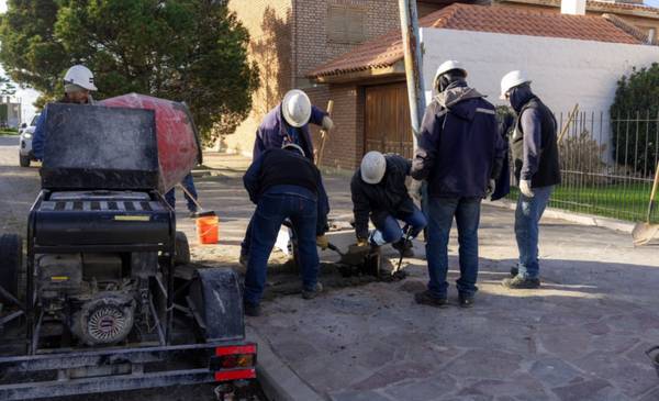 TRABAJOS DE LA COOPERATIVA
