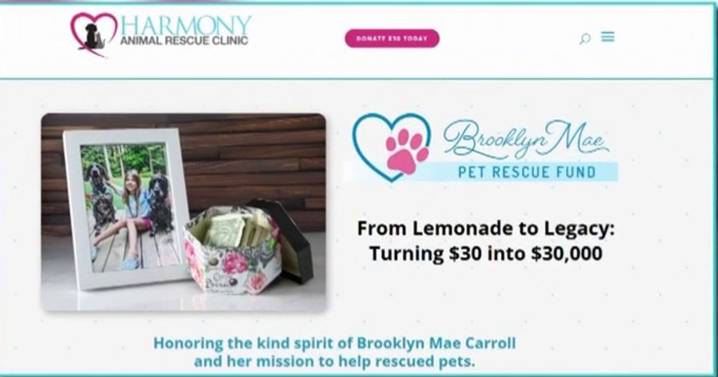 Apex rescue clinic launches fund to honor young girl's legacy with $30,000 goal for animal care :: WRAL.com