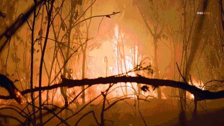 Fires erupt in Sepulveda Basin 1 day after debris, encampment removals