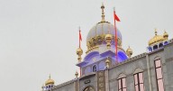 Shocking rape 'directly links to anti