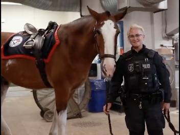 GIDDY UP BLUE JAYS!! Cops offer a sweet ride to Springer if he brings home World Series