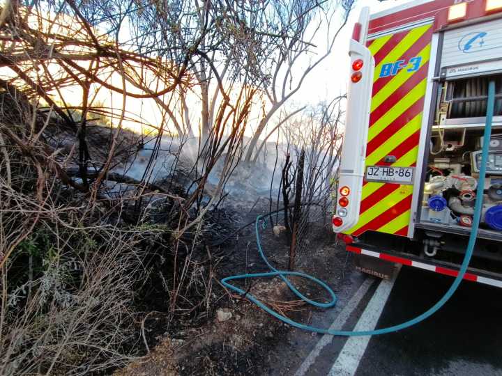 Incendio en Paihuano bajo control: 20 damnificados y 7 hectáreas consumidas