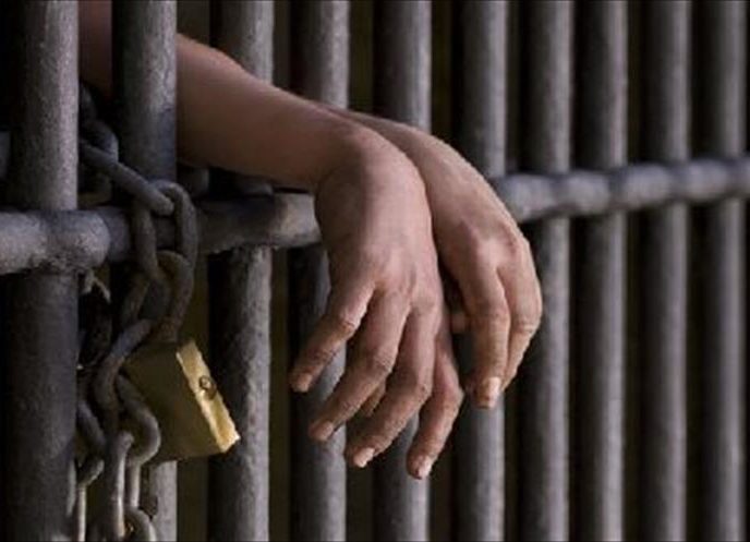 Police Bust Illegal Cannabis Cultivation, Arrest Accused