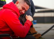 La resiliencia tras la tragedia: patrullero y perro antinarcóticos vuelven al servicio tras atentado en Amalfi