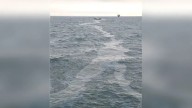 Piura: OEFA investiga presencia de manchas sospechosas de hidrocarburos en el mar de Talara