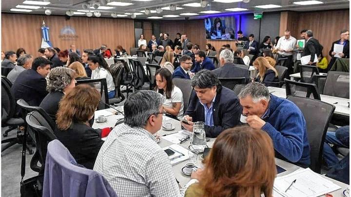 Diputados: ponen en marcha su ofensiva para limitar el uso de los decretos