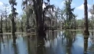 Ordenan el cierre de "Alligator Alcatraz" en Florida