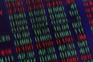 Trade adds slightly to Australia’s Q2 growth, but government spending underwhelms