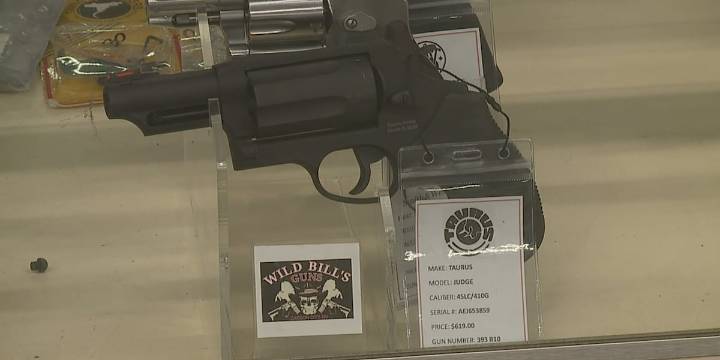 Nevada cyberattack stalls guns sales statewide
