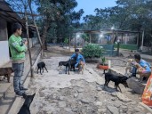 Sin alimento el refugio para animales en San Antonio