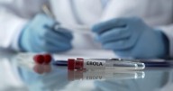 Ebola Vaccinations Begin in Congo After Deadly Outbreak