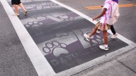 Cocoa's Endeavour Elementary crosswalk painted over due to mandate
