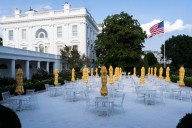 Trump will host top tech CEOs except Musk at a White House dinner