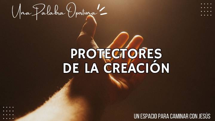 Una Palabra Oportuna 4238
