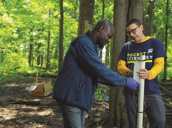UToledo-Led Research Explores Flooding Impact on Freshwater Coastlines
