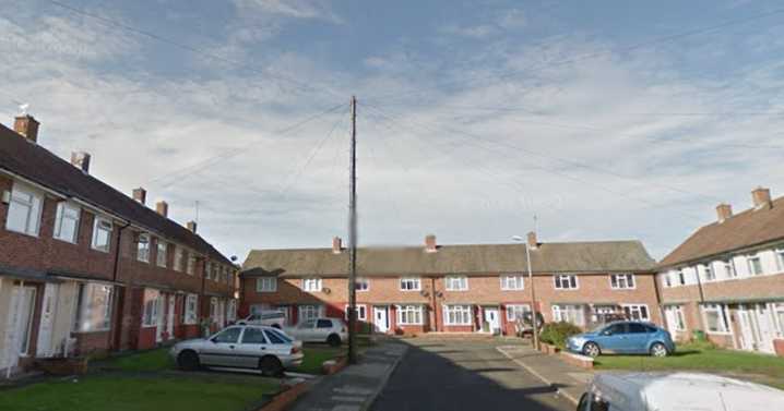 Owner of 'dangerously out of control fighting dog' in court after person injured in Stockton