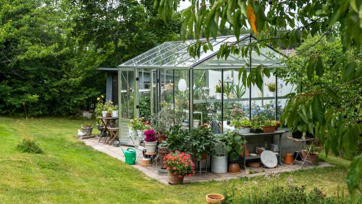 The Baking Essential That Will Leave Your Glass Greenhouse Windows Sparkling Clean