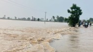Punjab focuses on flood relief ops, procuring paddy; Haryana set to work on new voter list