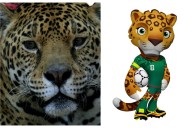 Y hablando de jaguares: ¿cuántos hay en México? Población creció 10% desde 2018