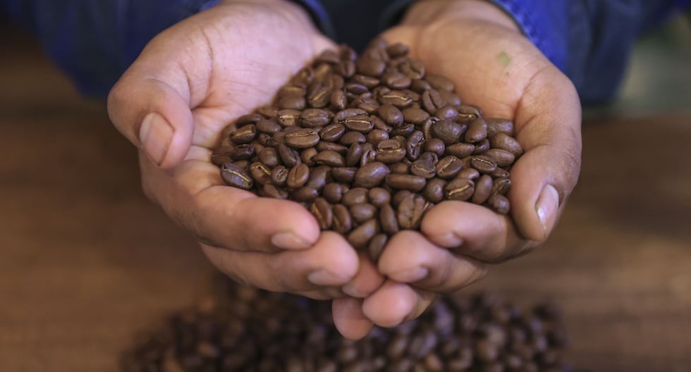 Perú dice que ya está listo: la estrategia frente a la limitación para exportar café y cacao